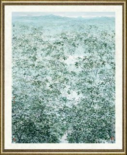 董继宁_翠漫青城_Lushness of Qingcheng Mountain
